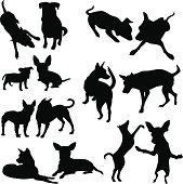 silhouettes of dogs and puppies in different actions