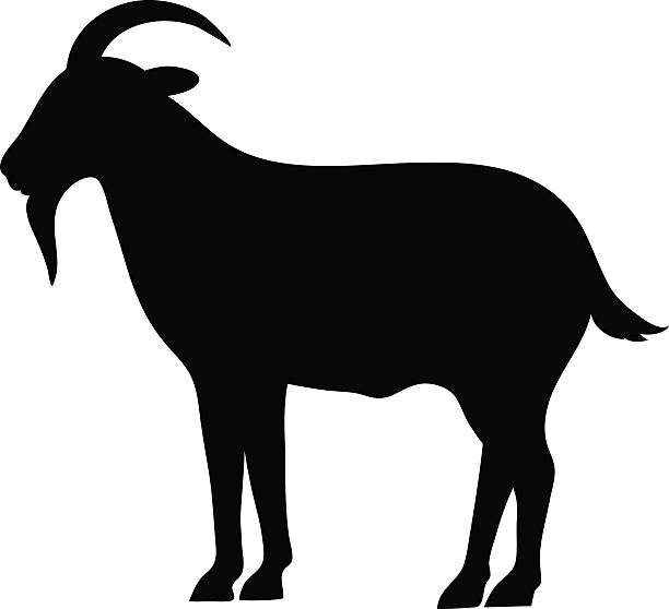 Download Goat Profile Illustrations, Royalty-Free Vector Graphics ...