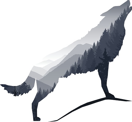 Silhouette of howling wolf