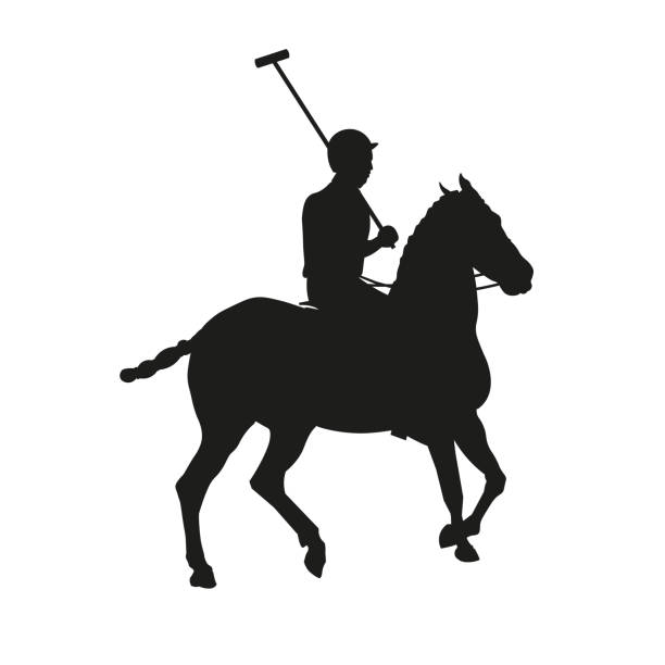 Polo Mallet Illustrations, Royalty-Free Vector Graphics & Clip Art - iStock