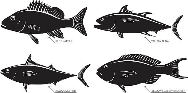 Silhouette of sea and river fish Vector illustration set of different kinds of fish. Silhouette of sea and river fish for stamps and labels isolated on white background stylized underwater nature set of icons stock illustrations