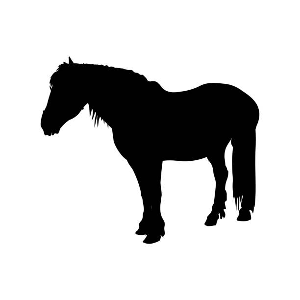 bildbanksillustrationer, clip art samt tecknat material och ikoner med siluett av shire utkast till häst - working stable horses