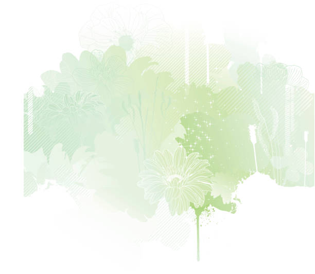 A silhouette of spring using green tones  vector art illustration