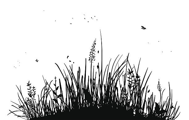 Royalty Free Wild Grasses Clip Art, Vector Images ...
