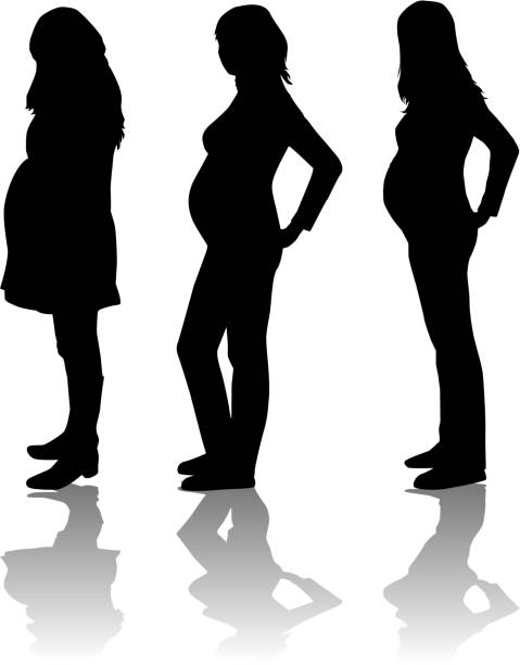 Silhouette of the pregnant woman Silhouette of the pregnant woman pregnant silhouettes stock illustrations