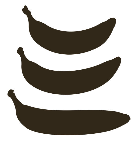 Silhouette of three types of banana. Straight and curved vector banana isolated Silhouette of three types of banana. Straight and curved vector banana isolated on white background banana silhouettes stock illustrations