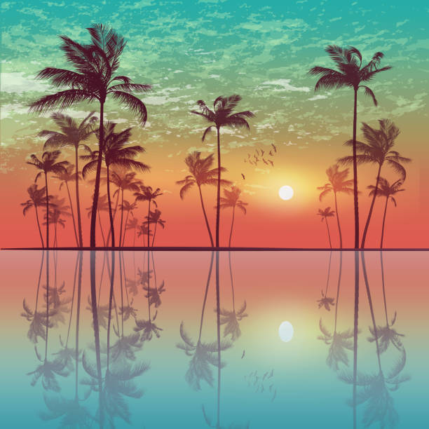 Silhouette of tropical palm trees  at sunset or sunrise, with cloudy sky . Highly detailed  and editable Waterfront Silhouette of tropical palm trees  at sunset or sunrise, with cloudy sky and reflection in water. Highly detailed  and editable sea silhouettes stock illustrations