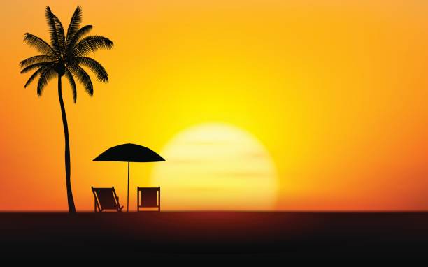 Silhouette palm tree and Umbrella Beach on island under sunset sky background Silhouette palm tree and Umbrella Beach on island under sunset sky background beach silhouettes stock illustrations