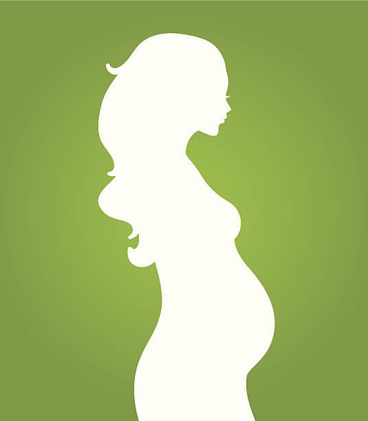 Silhouette pregnant woman Vector illustration of Silhouette pregnant woman pregnant silhouettes stock illustrations