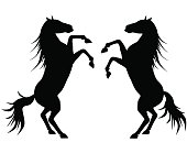 silhouette two horse
