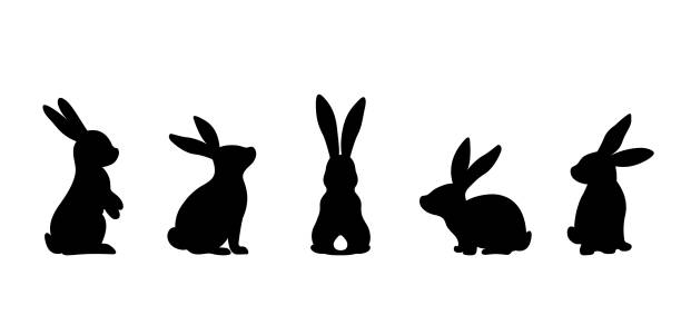 bildbanksillustrationer, clip art samt tecknat material och ikoner med silhuetter av påskkaniner isolerade på en vit bakgrund. uppsättning av olika kaniner silhuetter för design användning. - kanin djur