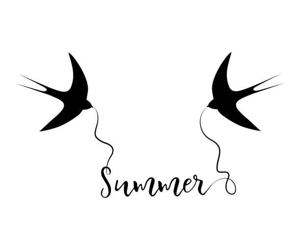 Silhouettes of swallows with the text "Summer" vector art illustration