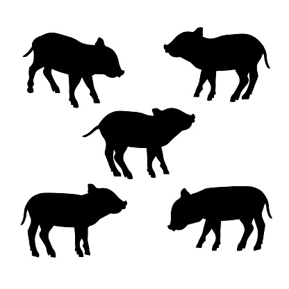 猪豚のシルエット イラストレーションのベクターアート素材や画像を多数ご用意 Istock