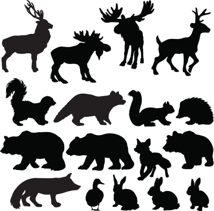 Silhouettes of woodland animals