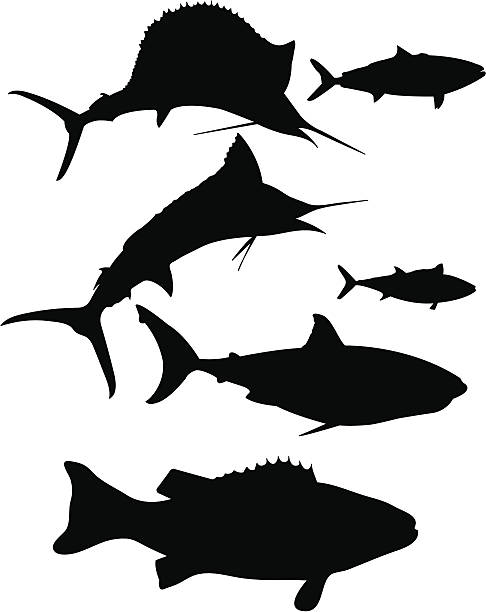 ilustrações de stock, clip art, desenhos animados e ícones de sillouetted peixe - chalana