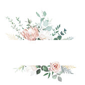 Silver sage and blush pink flowers vector design frame. Dusty rose, magnolia, dried pink protea, eucalyptus, greenery. Wedding floral. Pastel watercolor background. Elements are isolated and editable