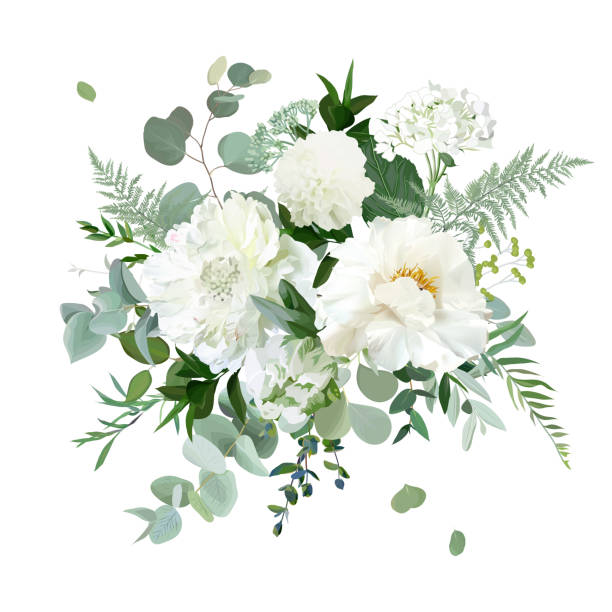bildbanksillustrationer, clip art samt tecknat material och ikoner med silver sage grön och vita blommor vektor design våren växtbaserade bukett - dahlia