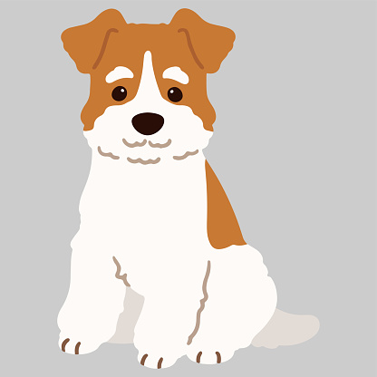 Simple and adorable Fox Terrier sitting in front view flat colored