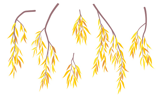 Simple autumn tree branches with yellow leaves