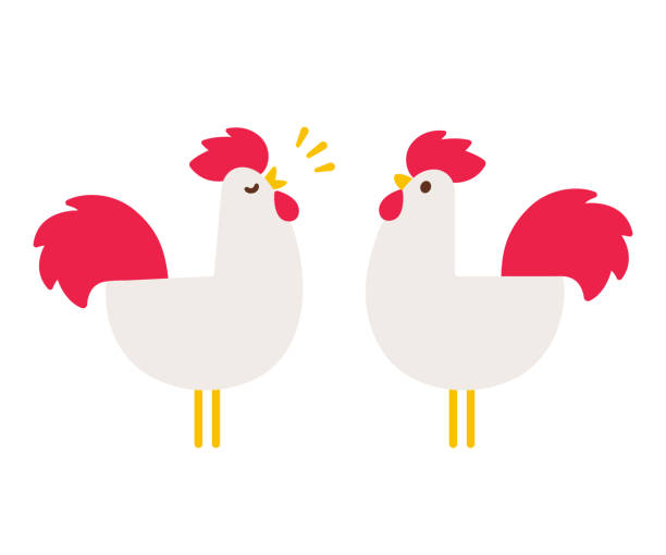 Simple cartoon rooster Cartoon rooster drawing in simple flat vector style. Cute crowing cock illustration. chicken stock illustrations
