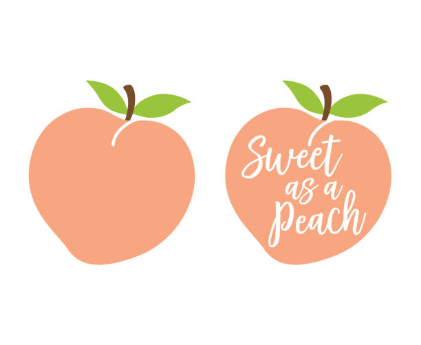 Simple Cute Peach with Leaves Vector Illustration Peach logo with quote “Sweet as a Peach” vector illustration. peach stock illustrations