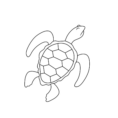 Simple Drawing Of A Turtle With A Haughty Expression Stock Illustration