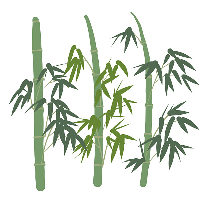 Simple green bamboo vector illustration