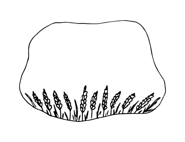 Simple hand-drawn vector drawing in black outline. Frame with a place for a title. Wheat spikelets, cereal plants, flour products. For label prints, recipe, menu. Bakery and pastries, bread. Simple hand-drawn vector drawing in black outline. Frame with a place for a title. Wheat spikelets, cereal plants, flour products. For label prints, recipe, menu. Bakery and pastries, bread. pasta borders stock illustrations