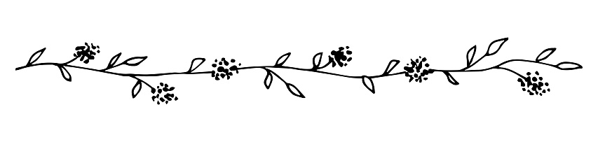 Simple hand-drawn vector drawing in black outline. Horizontal long flower garland isolated on white background. Twig, leaf and flower border for spring summer design. Delicate ornament for invitations