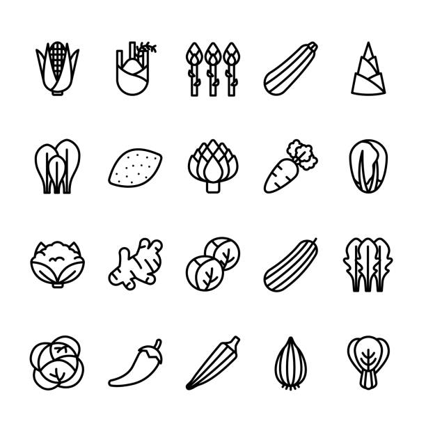 Simple line icon set of Vegetables Thin line icon set of Vegetables. Pixel perfect icons, thin line icon set. okra plants pics stock illustrations