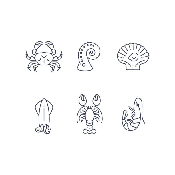 illustrazioni stock, clip art, cartoni animati e icone di tendenza di semplice set di icone per animali marini, frutti di mare vettoriali - gamberi