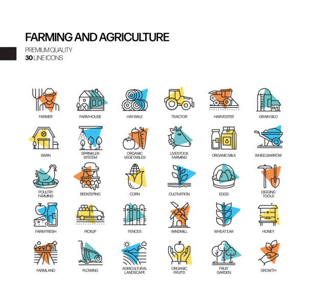 ilustrações, clipart, desenhos animados e ícones de conjunto simples de ícones da linha vetorial de holofotes relacionados à agricultura e agricultura. coleção símbolo de contorno - soy field