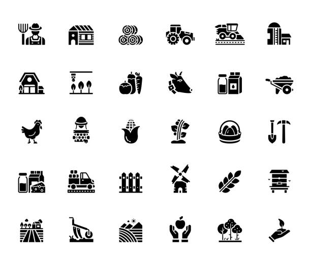 ilustrações, clipart, desenhos animados e ícones de conjunto simples de ícones de vetores relacionados à agricultura e agricultura. coleção de símbolos - soy field