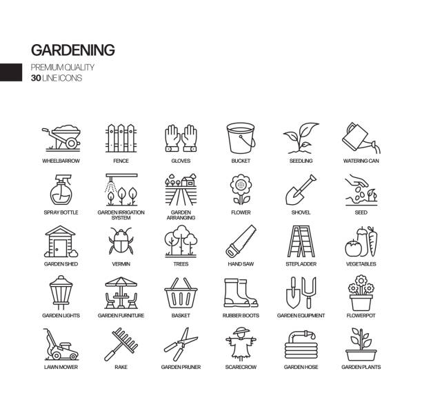 illustrations, cliparts, dessins animés et icônes de ensemble simple d'icônes de ligne vectorielle connexes de jardinage. collection de symboles de contour - garden icons