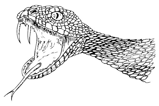 simple sketch of viper snake