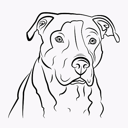 Simple vector image of an American pit bull Terrier
