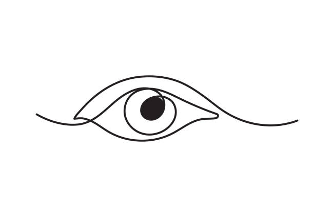 Single continuous one line art female watch eye. Single continuous one line art female watch eye. eye drawings stock illustrations