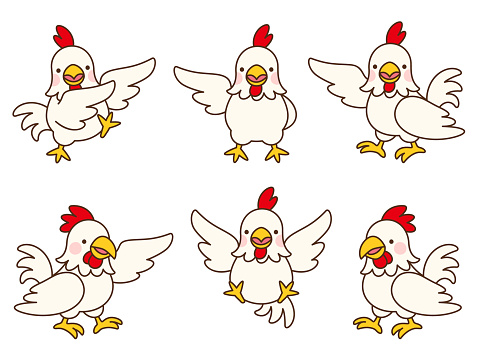 Six poses illustration set of chickens