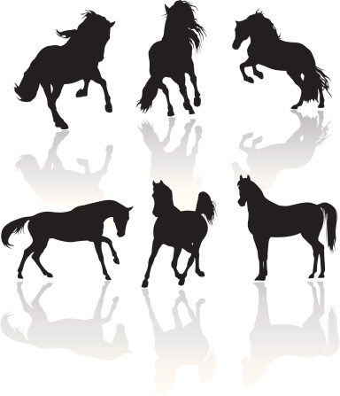Six vector silhouettes of horses with shadows on white back