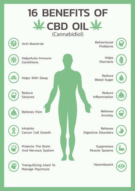 sixteen benefits of CBD oil for health or Cannabidiol, Cannabis infographic vector art illustration