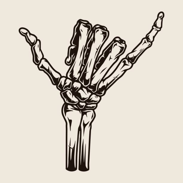 skeletthand zeigt shaka-geste - menschliches skelett stock-grafiken, -clipart, -cartoons und -symbole