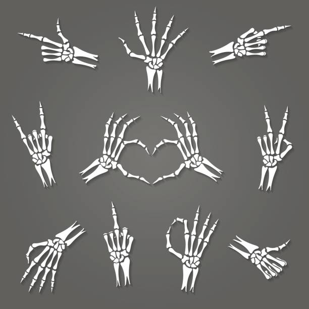 skeletthand zeichen - menschliches skelett stock-grafiken, -clipart, -cartoons und -symbole