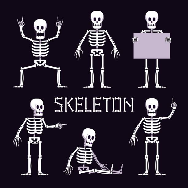 skelett in verschiedenen posen ist cartoon-stil - menschliches skelett stock-grafiken, -clipart, -cartoons und -symbole