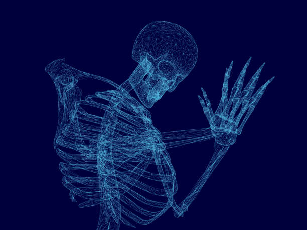 skeleton kneels and prays Vector illustration of wireframe human skeleton that prays. Blue polygonal human skeleton. 3D. Vector illustration. pain borders stock illustrations