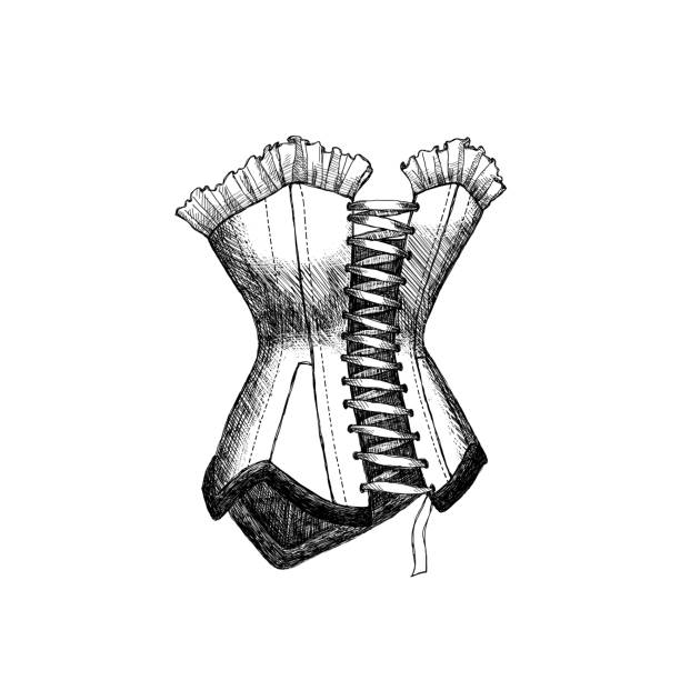 illustrazioni stock, clip art, cartoni animati e icone di tendenza di schizzo corsetto - busto