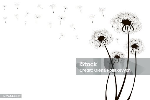 https tr vector me browse 212825 free vector dandelion on grass