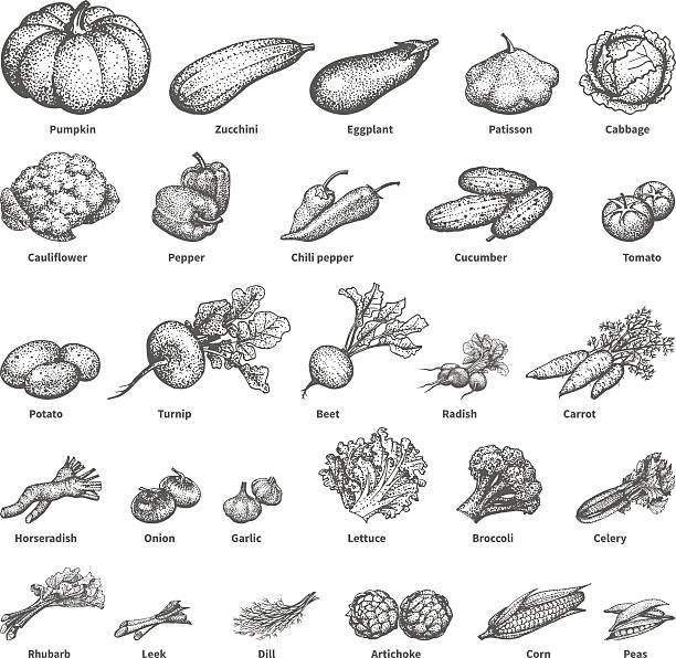 Sketch doodle hand-drawn set vegetables Vector illustration sketch doodle hand-drawn set vegetables with an inscription. Isolated white background. Background icons for grocery shopping. Collection of veggies and greenery. Dietary food. horseradish stock illustrations