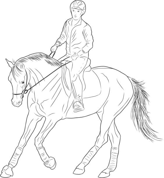 bildbanksillustrationer, clip art samt tecknat material och ikoner med skiss av en kvinna som rider på en häst. - working stable horses