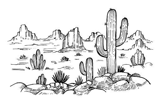 Sketch of the desert of America with cacti. Prairie landscape. Hand drawn vector illustration