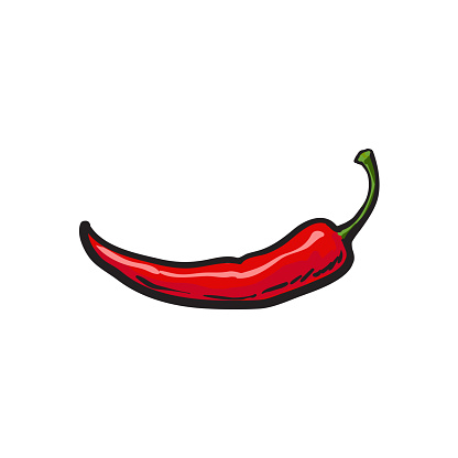 Sketch Style Fresh Whole Ripe Red Chili Pepper Stock Sketch Style Fresh Whole Ripe Red Chili Pepper Stock
